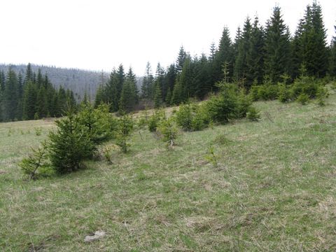 Foto 47